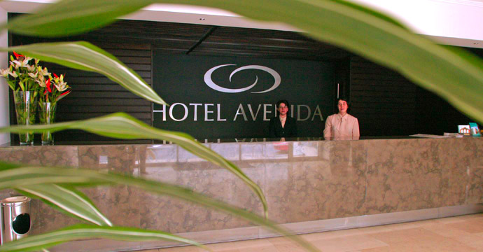 Hotel Avenida - Photo 6